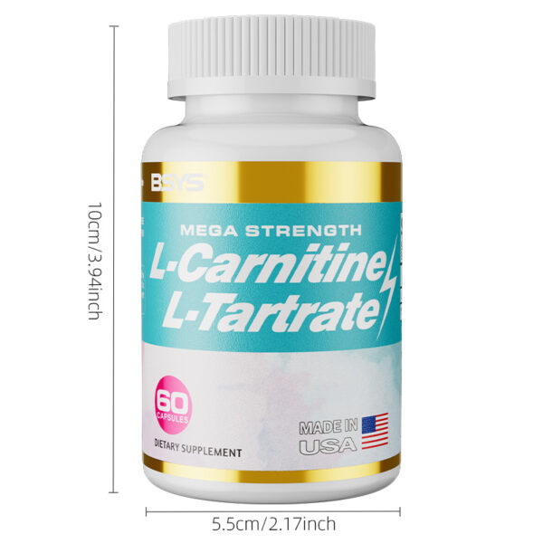 L-Carnitine L-Tartrate Capsules - Image 2