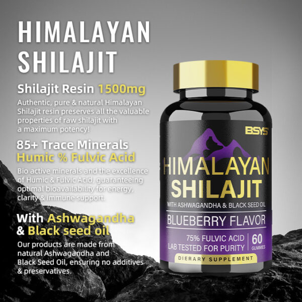 BSYS SHILAJIT GUMMIES 60'S - Image 3