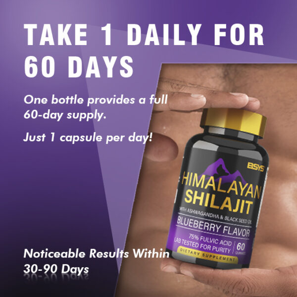 BSYS SHILAJIT GUMMIES 60'S - Image 2