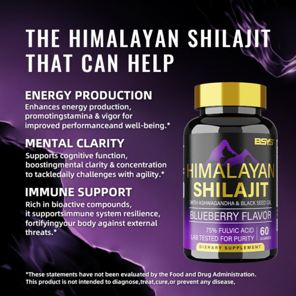 BSYS SHILAJIT GUMMIES 60'S - Image 5