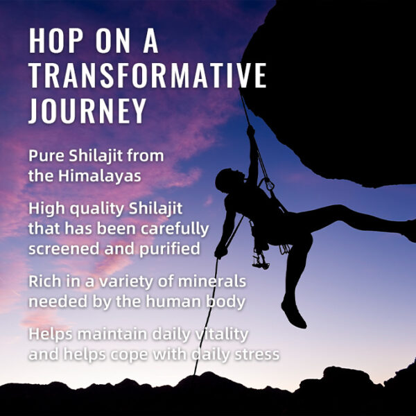 BSYS SHILAJIT GUMMIES 60'S - Image 4
