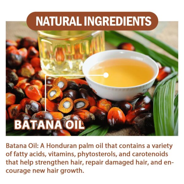 Batana Oil From Honduras - Get Fuller, Thicker, Healthier Hair - Great Gifts For Women  Men Conditioner Haircare Silky - Hair Nutrition - Image 4