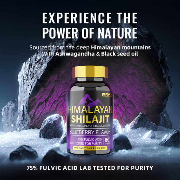 BSYS SHILAJIT GUMMIES 60'S - Image 7